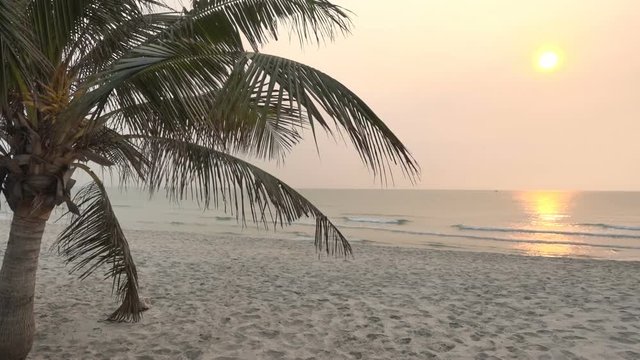 Palm tree on a beach. A beautiful view of sea with sun down down view. A golden glare on the water.