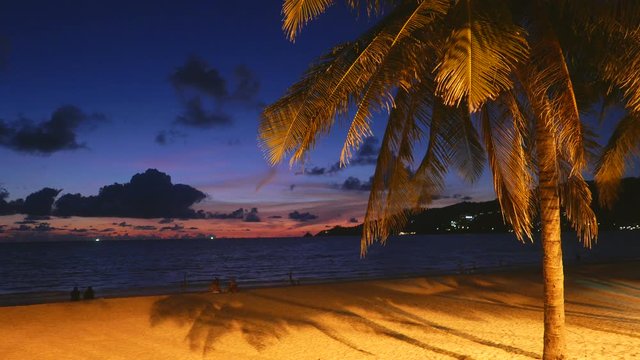 People relaxing the beach in the evening. twilight. Palm tree on the beach waving the for the breeze of air.