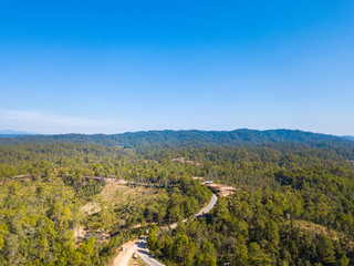 Aerial view forest and blue sky