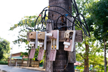 Street electrical switches on a tree
