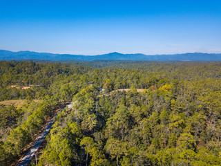 Fototapeta premium Aerial view forest and blue sky