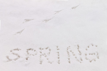 the inscription spring on the snow