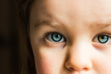 Child Blue Eyes Portrait Closeup. Attentive Concentrated Sad Baby on Dark Background. Child Vision and Ophthalmology Concept