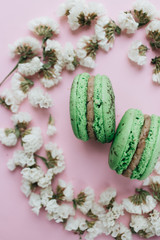 Composition of two delicious macaroons and floral petals