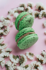 Composition of two delicious macaroons and floral petals