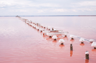Salt pink lake