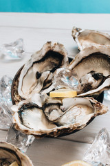 Delicious oysters with lemon, seafood delicacy