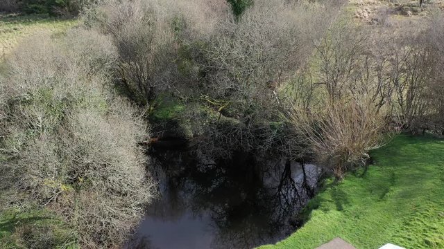 The Shannon Pot