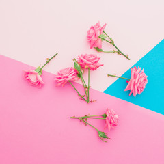Bright background with pink roses flowers. Flat lay