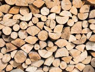 Pile of wood logs ready for winter