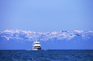 雪山を望む琵琶湖と観光船と水鳥たちです
