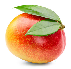 Mango isolated on white