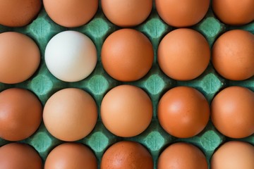 one white egg stands out from the rest of the orange yellow eggs that lie in a bright turquoise egg paper box