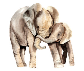 Fototapeta na wymiar watercolor animals - african elephant with a kid