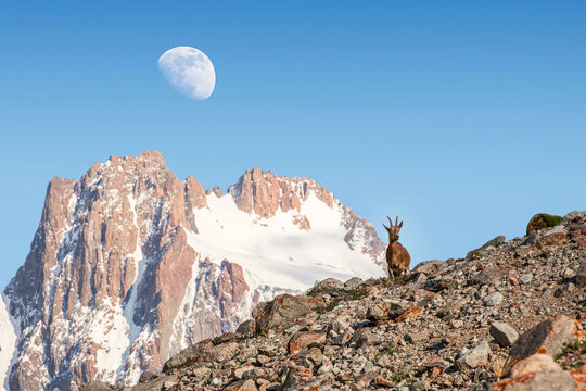 AlaArcha Bilder Durchsuchen 967 Archivfotos, und