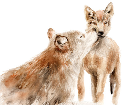 watercolor animals - red wolf with a kid