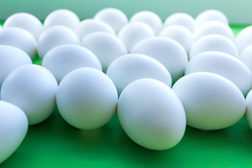 White eggs on a green background.side view
