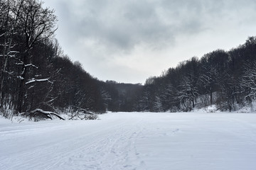 winter landscape with trees and snow