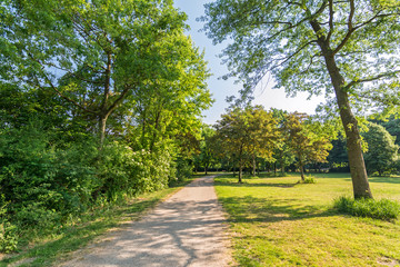 Fototapeta na wymiar Idyllischer Weg durch einen Stadtpark mit Bäumen im Frühling
