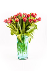 Close up simple rustic still life with blooming red tulips in a glass on a white background.
