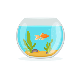 Vector aquarium golden fish silhouette illustration with water, seaweed, shells, sand bubbles.