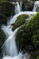 Obraz premium mountain waterfall among big stones