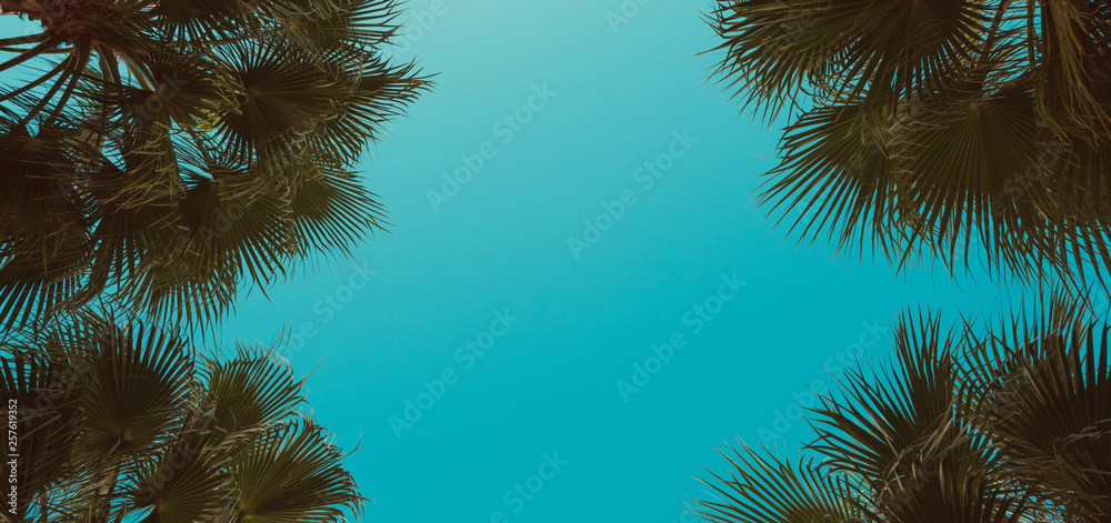Poster palm trees perspective view. frame composition with corner tropical palm leafs and center copy-space