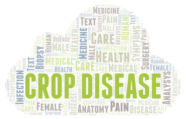 Obraz premium Crop Disease word cloud.