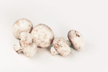fresh mushrooms.isolated on a white background. photo with copy space