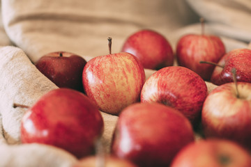 Ripe red apples in vintage background. 