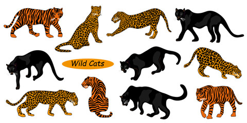 Set of wild animals. © svetlanakononov7