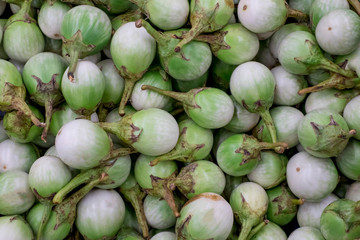 Solanum virginianum are vegetables organic is rich in vitamins minerals and Medicinal properties.
