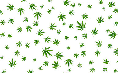 Marijuana Green Leaf Frame  and black marijuana hookah seamless pattern. hemp leaf in white color Vector background