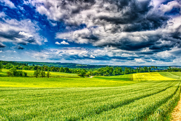 Naklejka premium Dieses einzigartige Foto zeigt die Landschaft mit Weizenfeldern und Wäldern mit einem extrem großen Himmel in Heimerdingen in Baden Württemberg