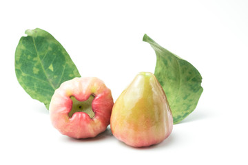 Rose apples isolated fresh on white background. The fruits are sweet and red or green.