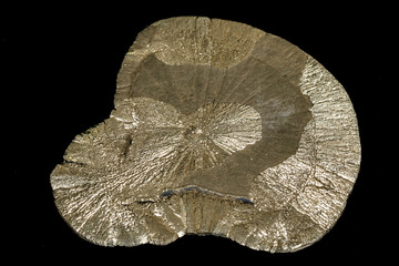 Macro mineral pyrite stone on a black background