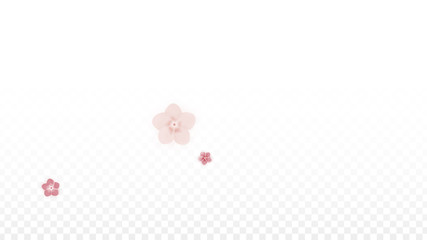 Vector Realistic Pink Flowers Falling on Transparent Background.  Spring Romantic Flowers Illustration. Flying Petals. Sakura Spa Design. Blossom Confetti. Design Elements for Wedding Decoration.