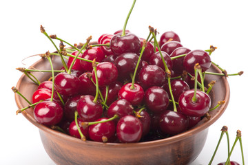 Fresh bird cherry