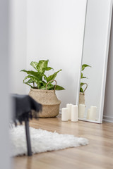 Contemporary apartment with pot basket