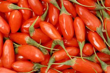 Goji berry isolated food background