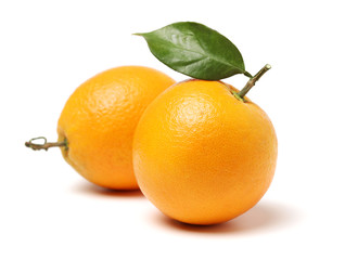 Orange fruit on the white background