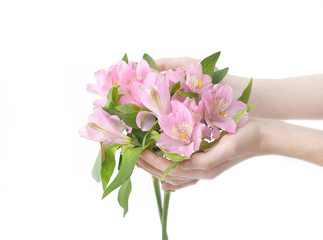 bouquet of flowers in female hands isolated on a light backgrou