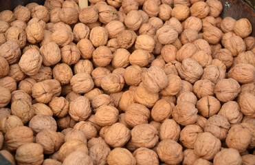 Barrel full of walnuts.
