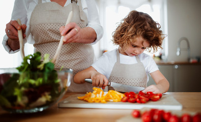 A portrait of small girl with grandmother at home, preparing vegetable salad.
