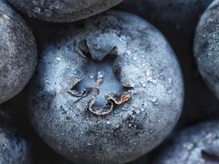 Close up of frozen blueberries. Macro photography.