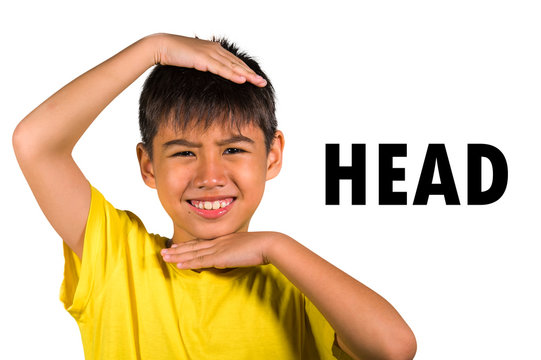 English language learning card with 8 years old child marking his head with his hands isolated on white background as part of school cards set of body and face parts