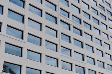 Commercial building windows