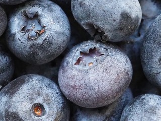Frozen blueberries close up. Macro photography.
