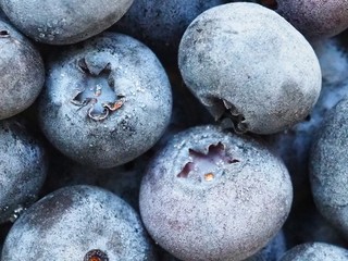 Frozen blueberries close up. Macro photography
