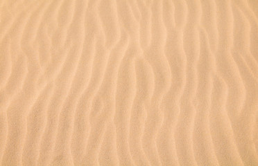 Obraz premium Beautiful Nature Sandy Summer Background